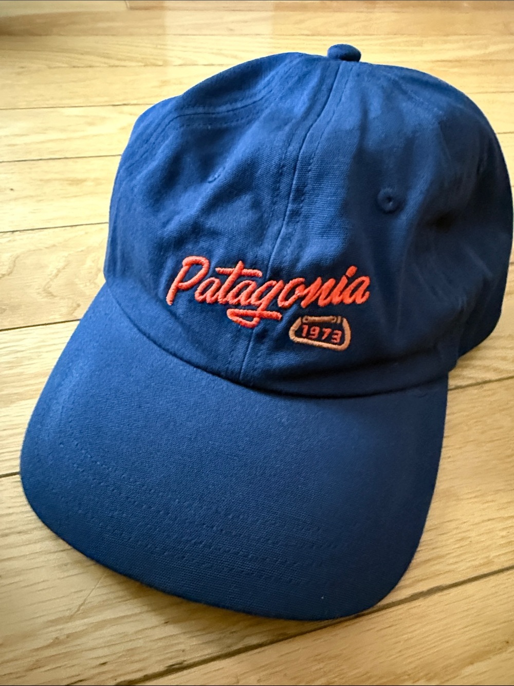 Patagonia Blue Cap with Orange Script Logo